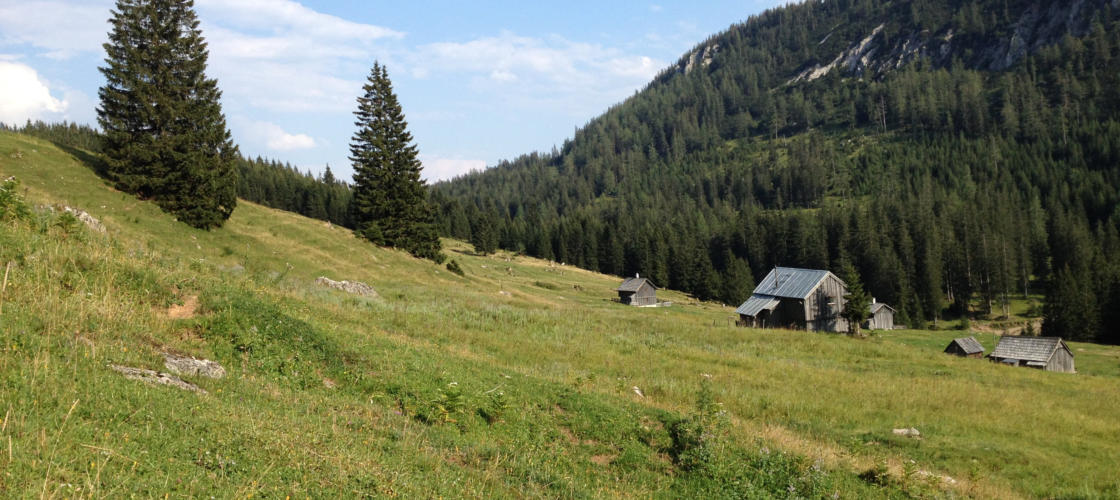 Almweg im Ausseerland